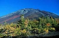 富士山の森エコツアー